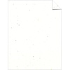 image:imageAstrobrights Colored Cardstock 85 x 11 65 lb176 gsm Stardust White MultiColor Flecked 250 Sheets 2140865lb Colored Cardstock