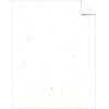 image:imageAstrobrights Colored Cardstock 85 x 11 65 lb176 gsm Stardust White MultiColor Flecked 250 Sheets 2140865lb Colored Cardstock Pack of 4