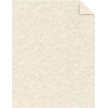 image:imageAstrobrights Specialty Parchment Cardstock 85 x 11 65 lb176 gsm Natural Ivory 100 Sheets 274270185 x 11 inches