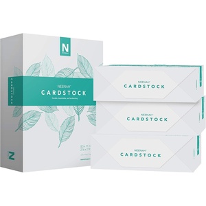 image:imageNeenah Vellum Bristol Cardstock Lightweight 325 Sheets 67 lb147 gsm 94 Brightness 85 x 11  MORE SHEETS 916334Pack